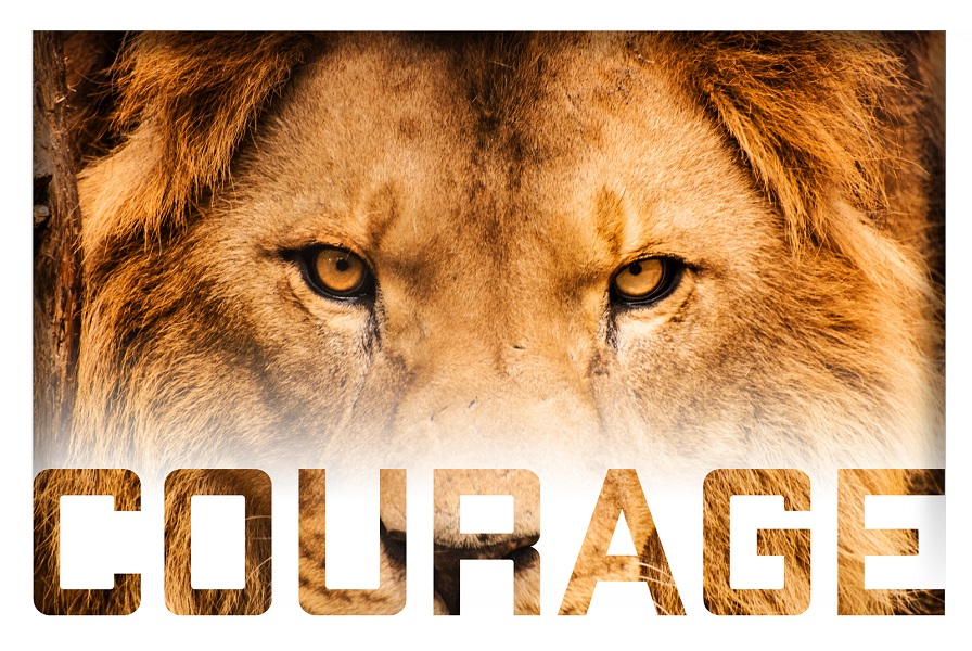 شجاعت لازمه موفقیت است